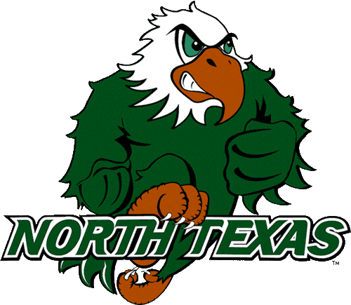 North Texas Mean Green 2003-2004 Alternate Logo diy fabric transfer